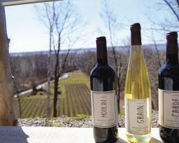 Domaine des 3 moulins, vignoble (winery)