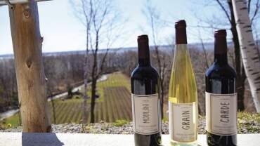 Domaine des 3 moulins, vignoble (winery)